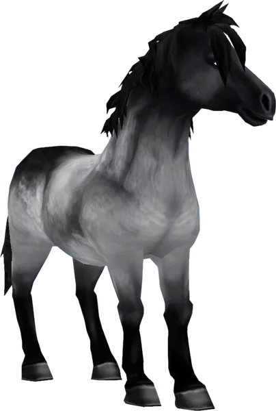 Jorvik Pony, Blue Roan