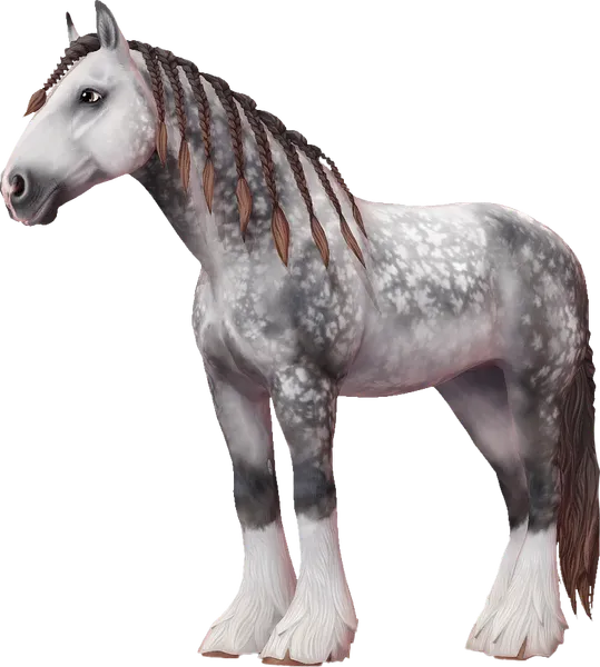 Shire, Dapple Grey