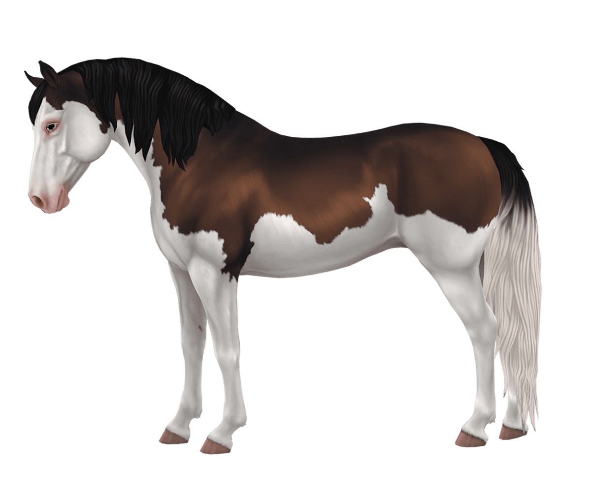 Morgan in Star Stable Online