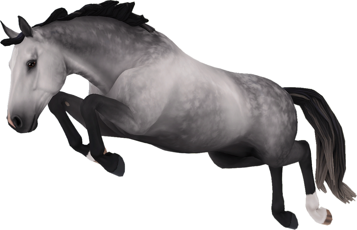 Hanoverian in Star Stable Online