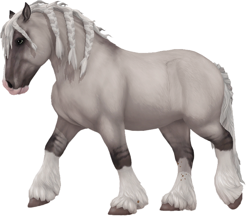 Ardennes in Star Stable Online