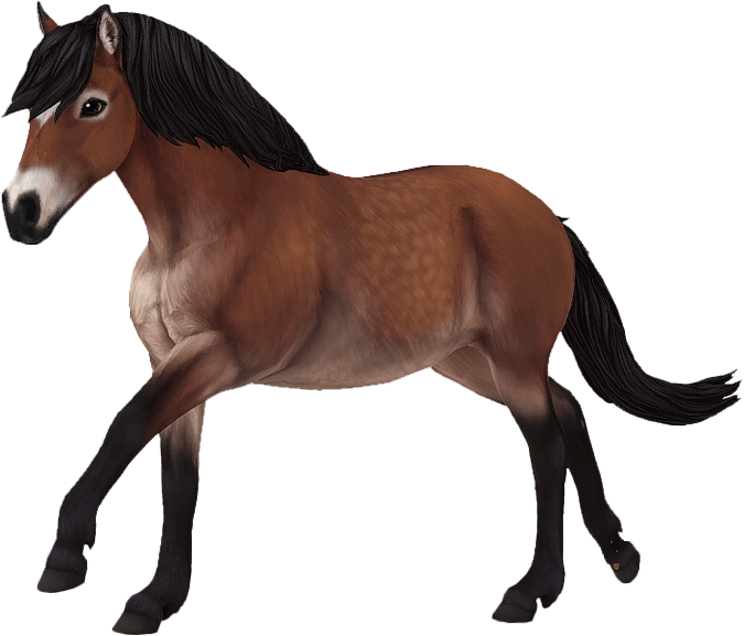 Gotland in Star Stable Online