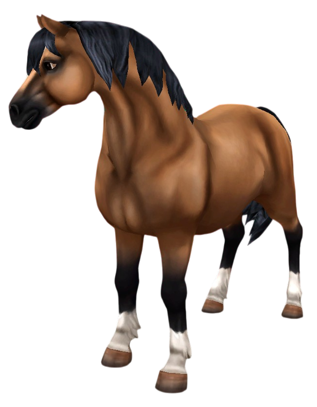 Welsh Pony in Star Stable Online