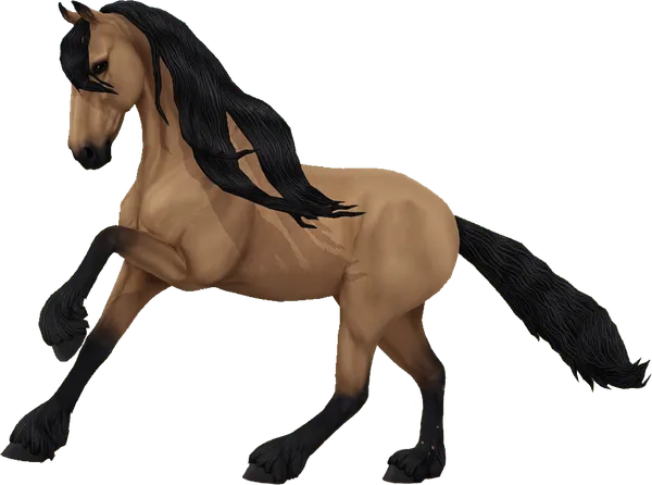 Friesian Sport Horse, Buckskin