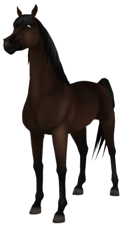 Arabian Thoroughbred in Star Stable Online