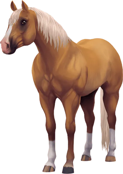 Jorvegian Quarter Horse, Palomino