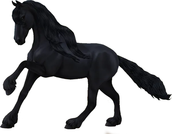 Friesian, Jet Black