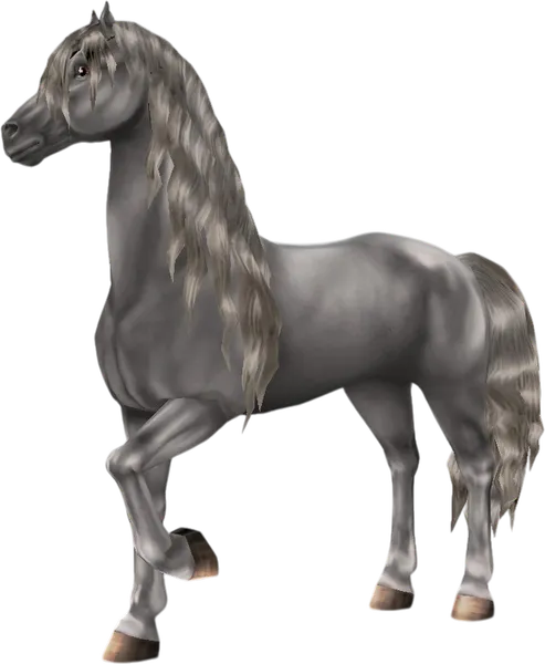 Friesian Sport Horse, Grey