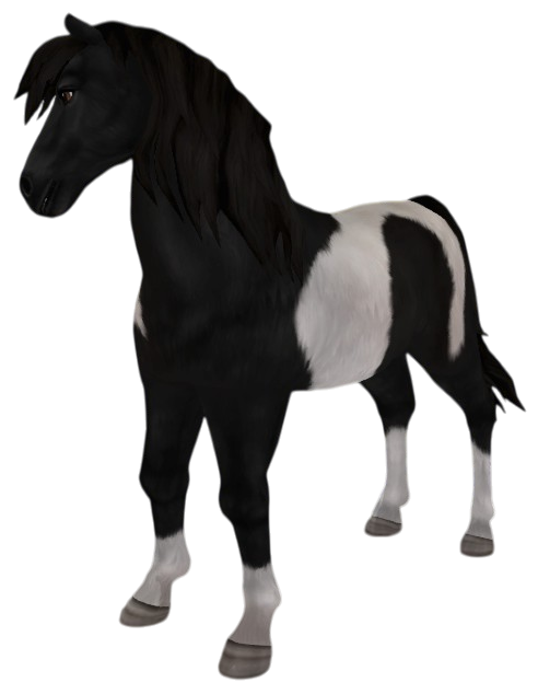 Icelandic Horse in Star Stable Online
