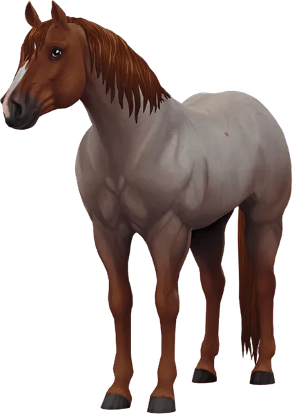 Jorvegian Quarter Horse, Red Roan