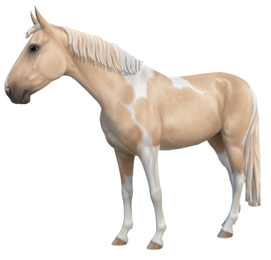 Swedish Warmblood in Star Stable Online