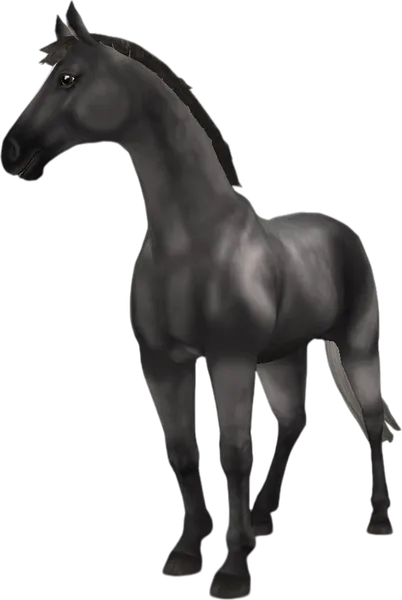 Hanoverian, Dapple Grey