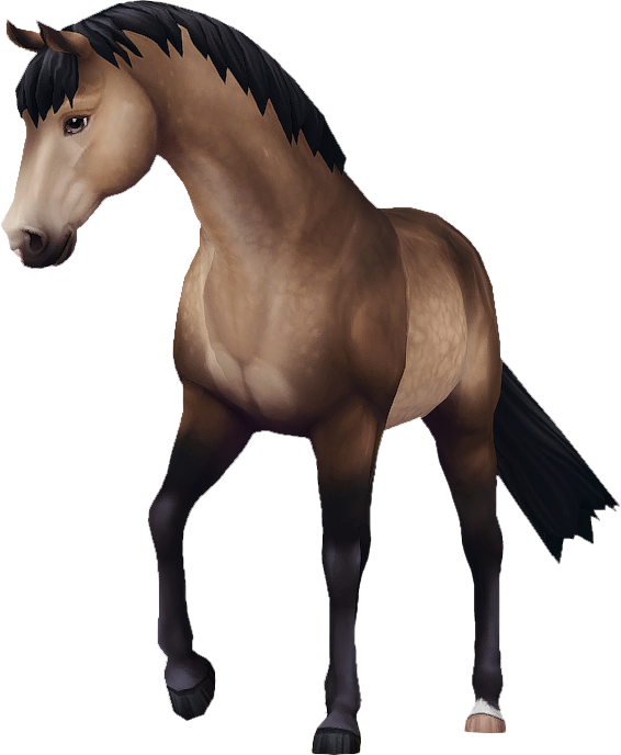 Jorvik Warmblood in Star Stable Online