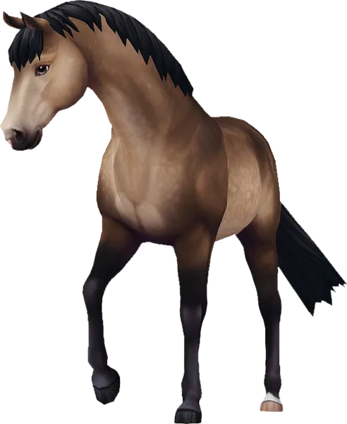 Jorvik Warmblood, Sooty Buckskin