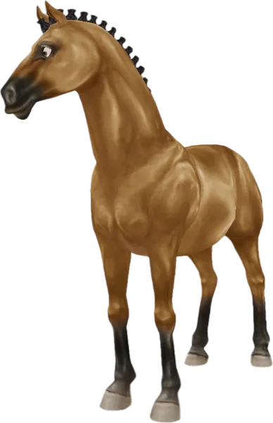 Akhal Teke, Buckskin