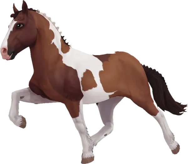 Icelandic Horse, Bay Mosaic Tobiano