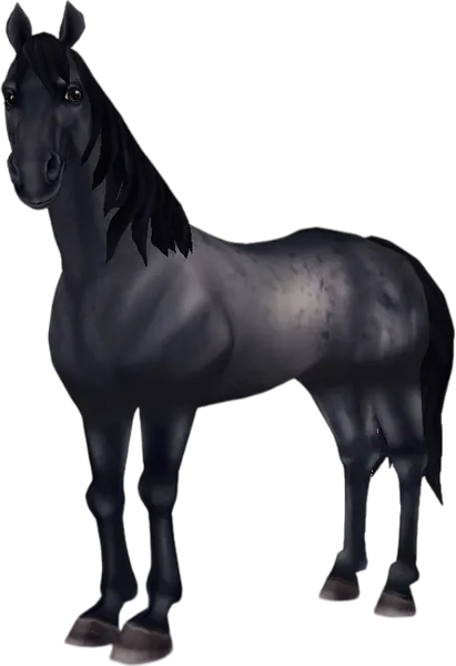 American Quarter Horse, Blue Roan