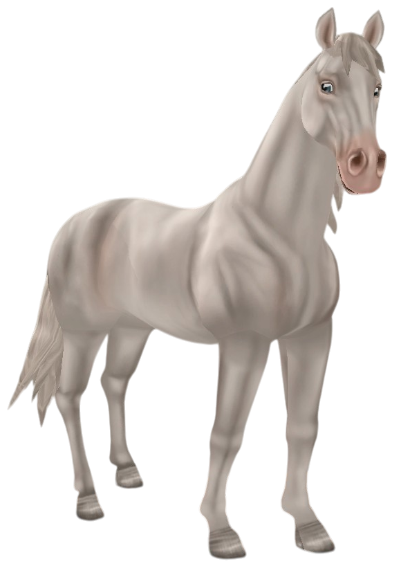 English Thoroughbred in Star Stable Online