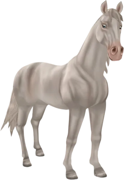 English Thoroughbred, Perlino