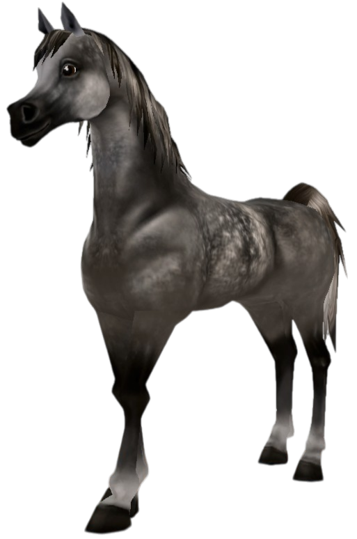 Arabian Thoroughbred in Star Stable Online