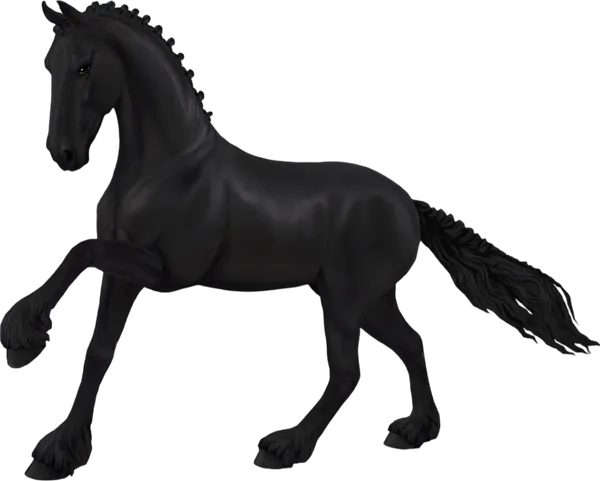 Friesian, Black