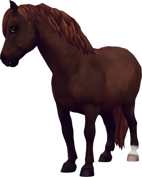 Jorvik Pony, Liver Chestnut