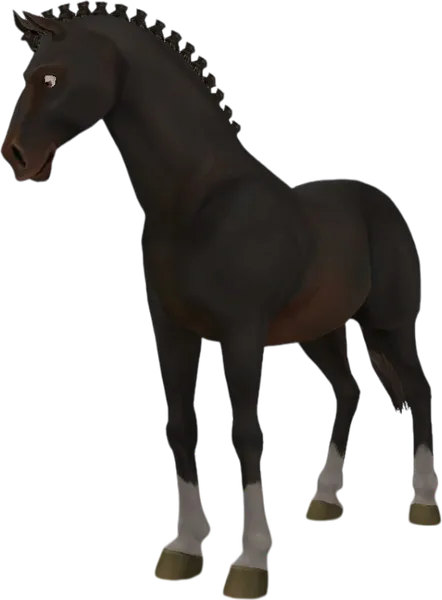 Danish Warmblood, Black Liver Chestnut