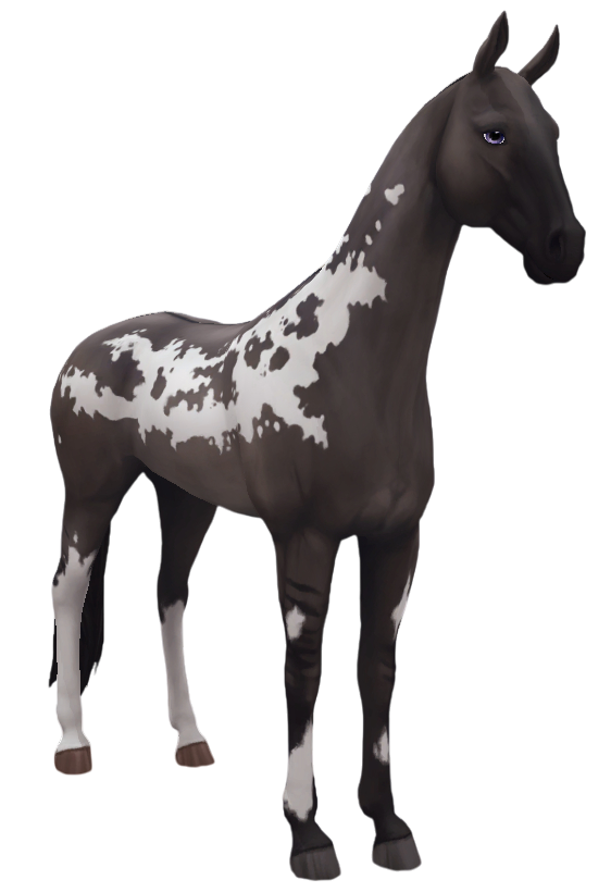 Akhal Teke in Star Stable Online