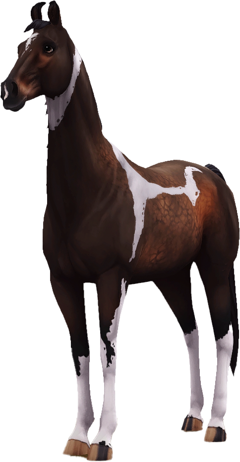 Marwari in Star Stable Online