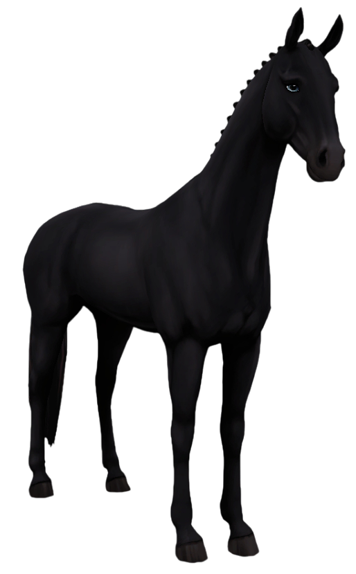 Akhal Teke in Star Stable Online