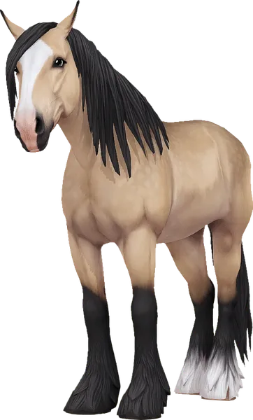 Shire, Buckskin