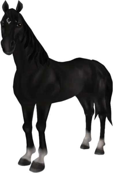 American Quarter Horse, Black