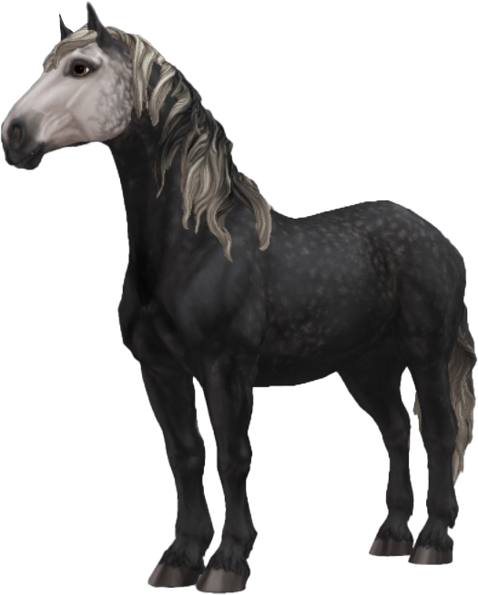 Percheron in Star Stable Online