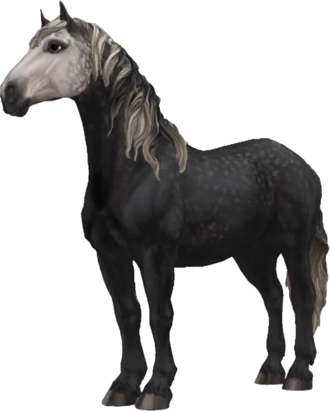 Percheron, Steel Grey