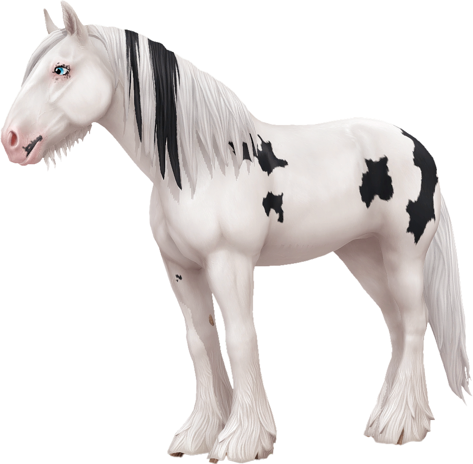 Shire in Star Stable Online