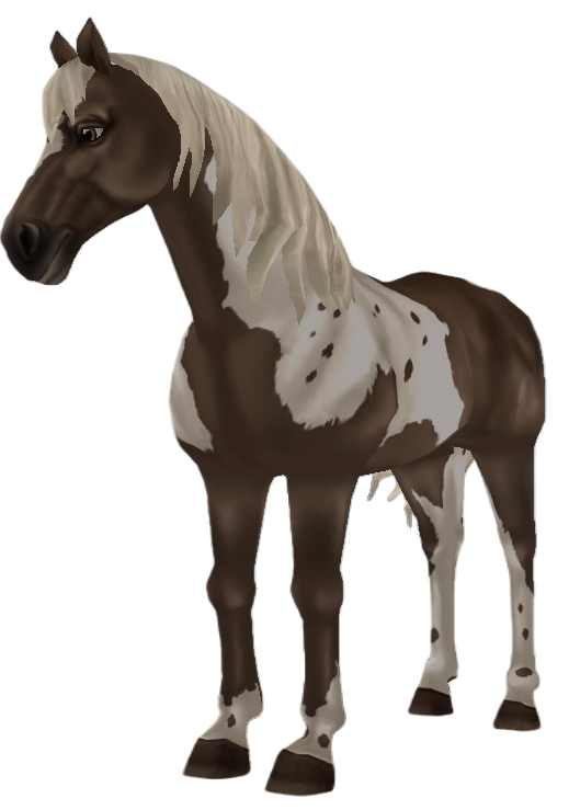 American Paint Horse in Star Stable Online