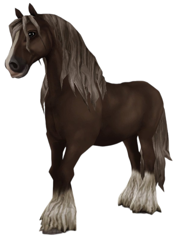 Irish Cob in Star Stable Online