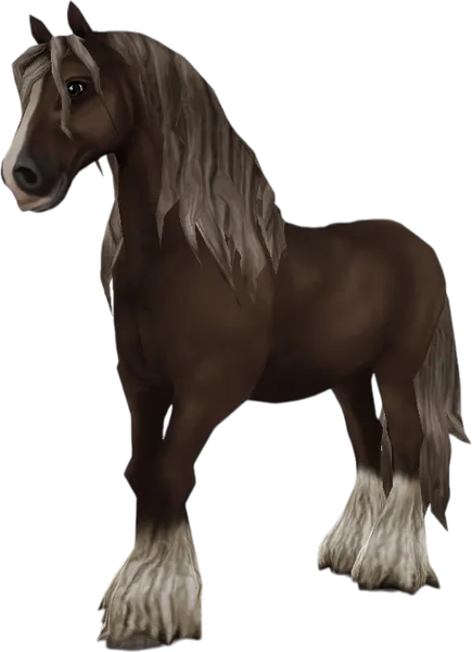 Irish Cob, Silver Dapple