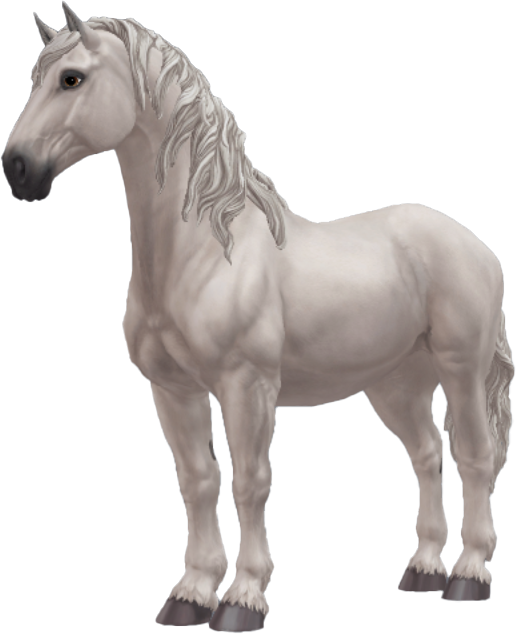 Percheron in Star Stable Online