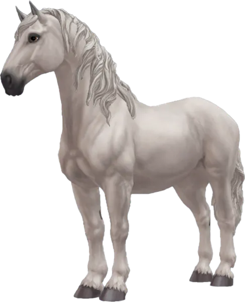 Percheron, Light Grey