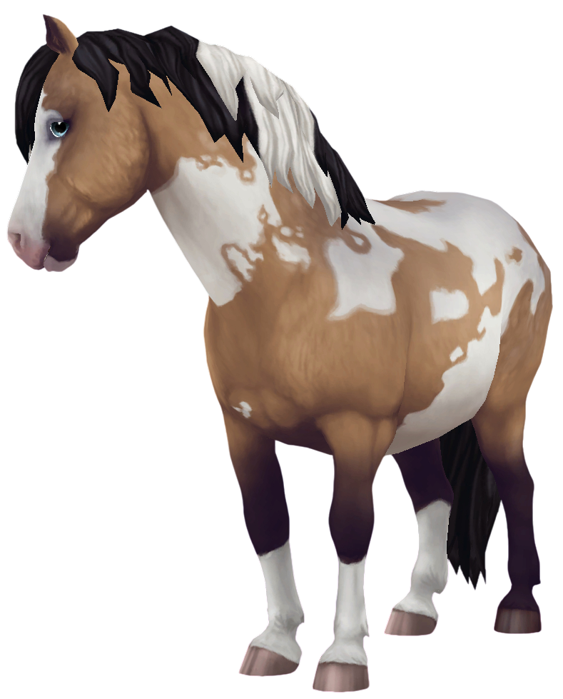 Jorvik Pony in Star Stable Online