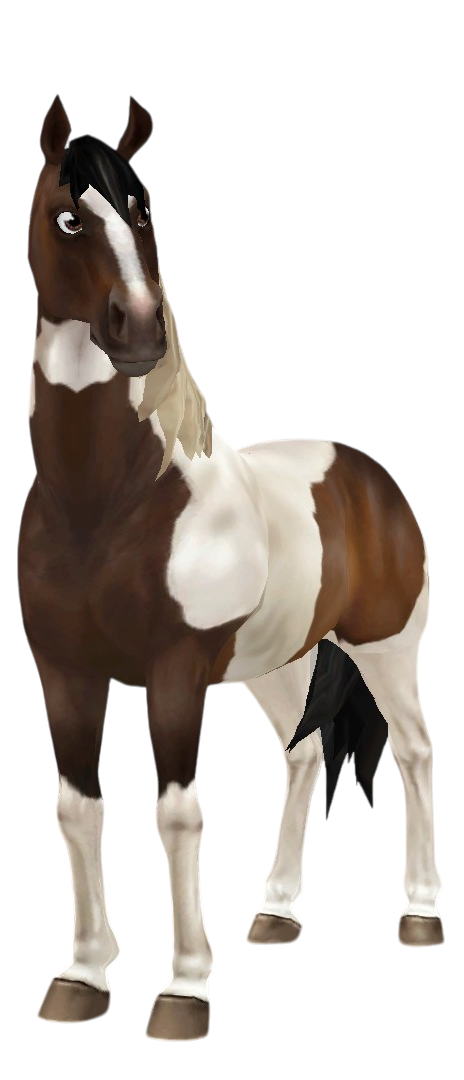 American Paint Horse in Star Stable Online