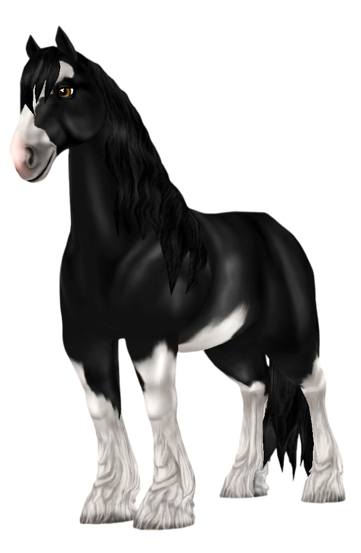 Shire in Star Stable Online
