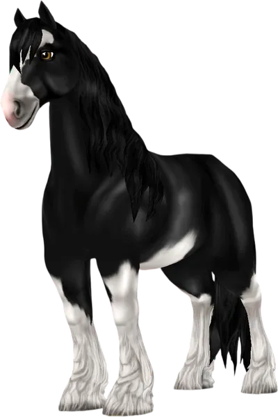 Shire, Black Draft-Type Sabino