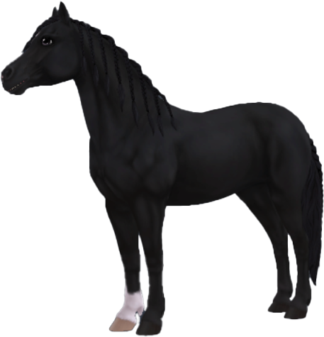 Welsh Pony in Star Stable Online