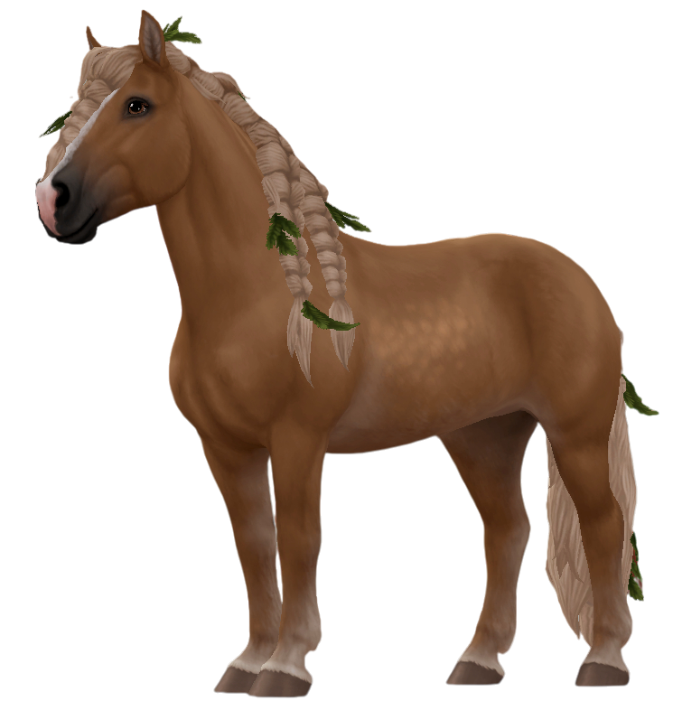 Black Forest Horse in Star Stable Online