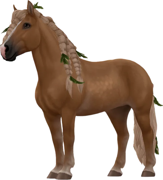Black Forest Horse, Flaxen Chestnut