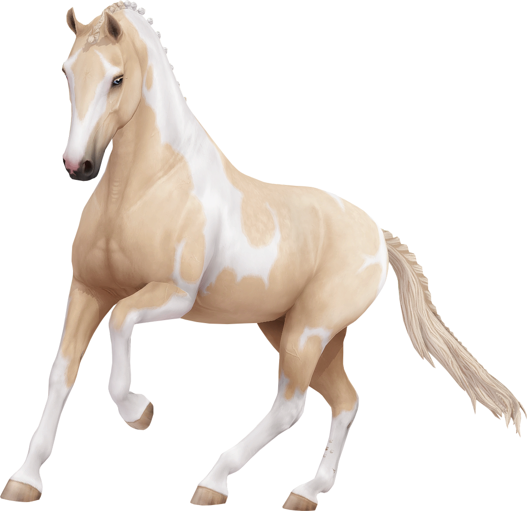 Dutch Warmblood in Star Stable Online