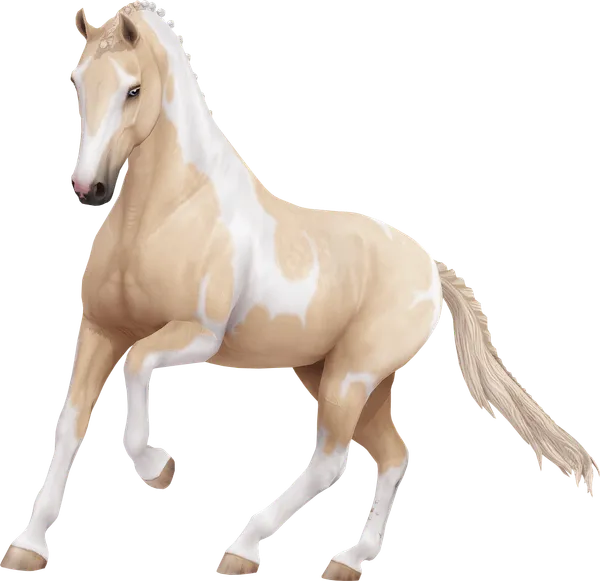 Dutch Warmblood, Palomino Tovero