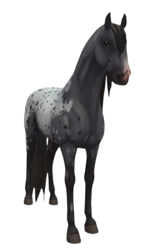 Lusitano in Star Stable Online